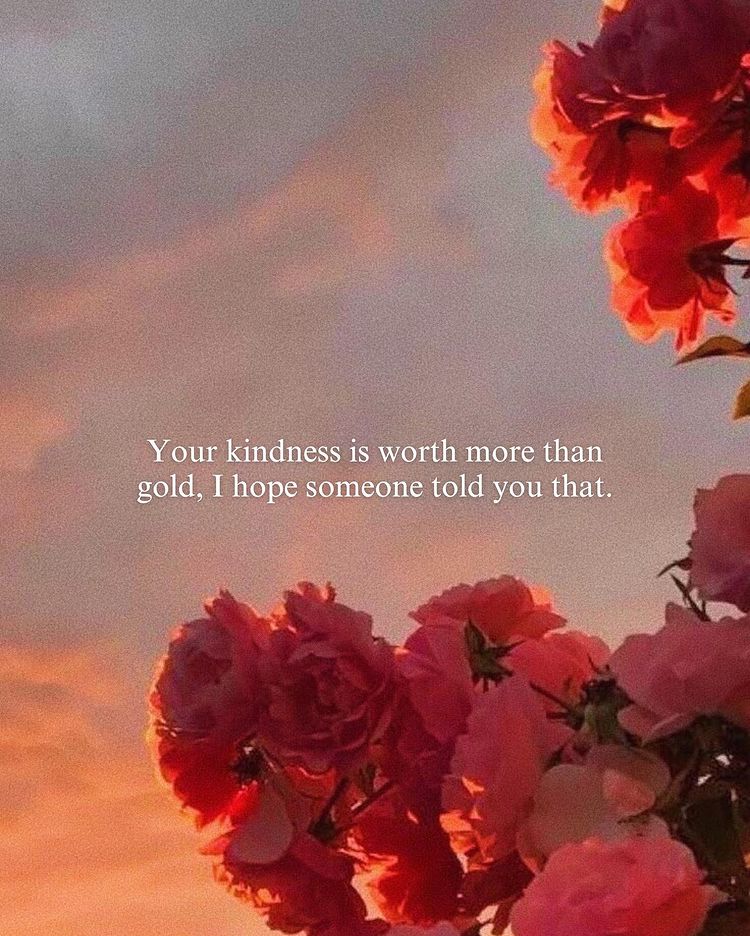 "Your kindness is worth more than gold, I hope someone told you that."